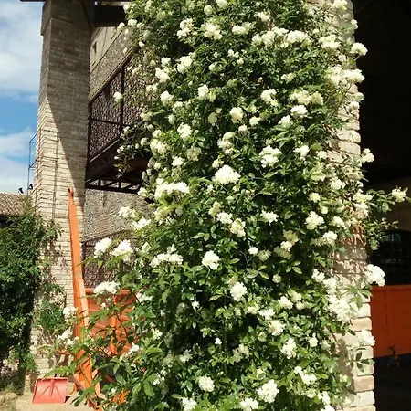 Agriturismo Ca' Preda Farm stay