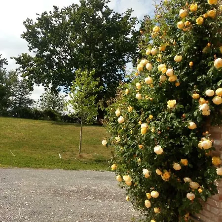 Agriturismo Ca' Preda Farm stay San Giorgio Piacentino