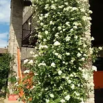 Agriturismo Ca' Preda 农家乐