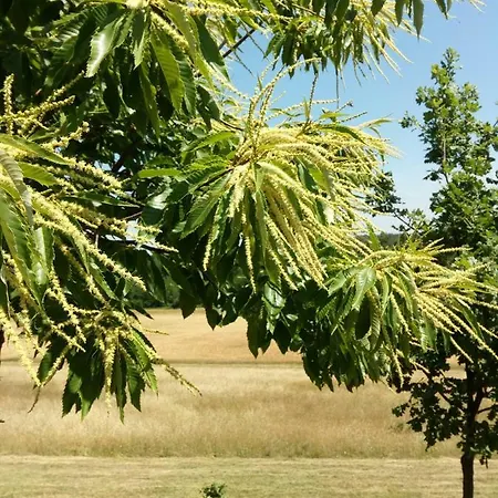 Agriturismo Ca' Preda Bauernhof San Giorgio Piacentino